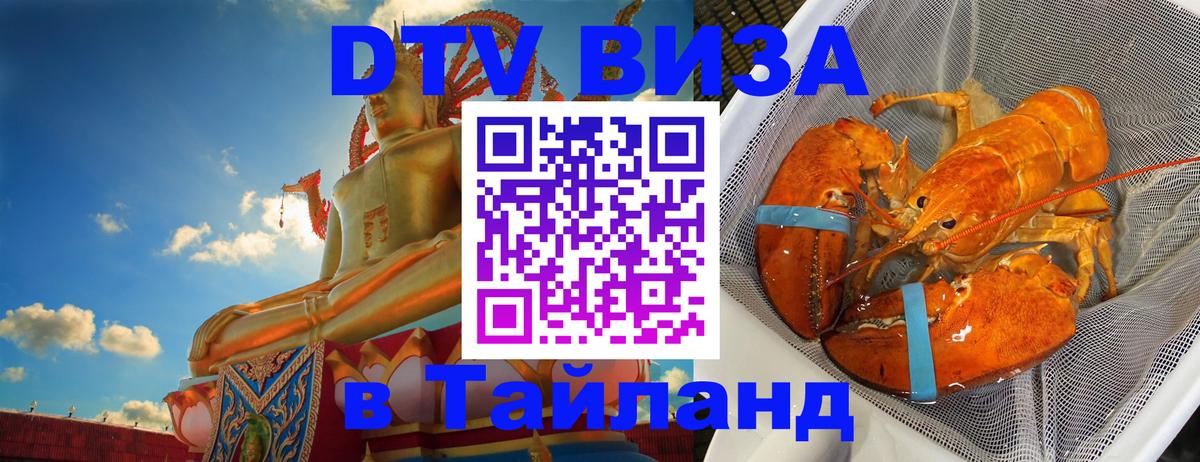 Оформление DTV визы под ключ: стоимость и тарифы, только загранпаспорт - Вашингтон  21.11.2025 